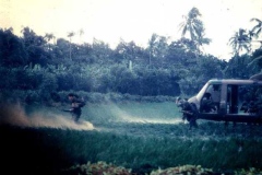 nam36a