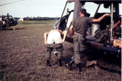 nam82a