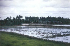 nam89f