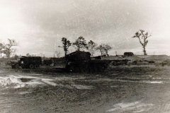 rm15